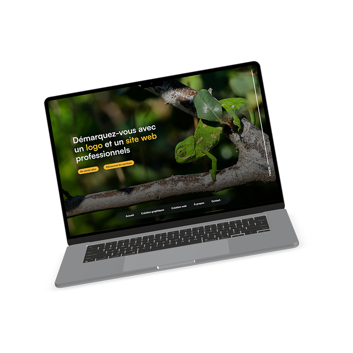 photo d'un ordinateur sur la page d'accueil du site de dilepis